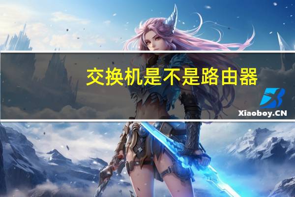 交换机是不是路由器（猫是不是路由器）