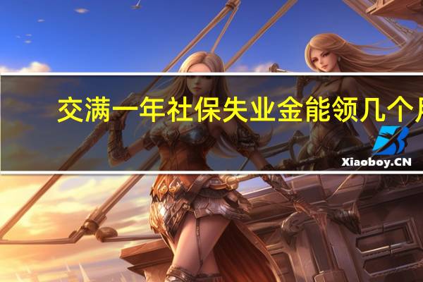 交满一年社保失业金能领几个月（缴满一年社保失业金可以领几个月）