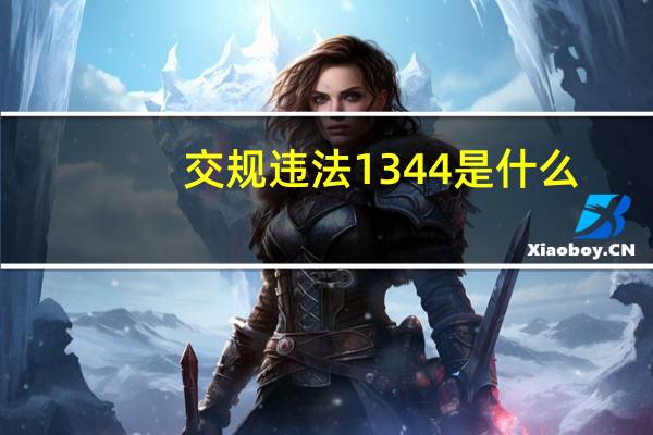 交规违法1344是什么(交通违法行为1344什么意思?)