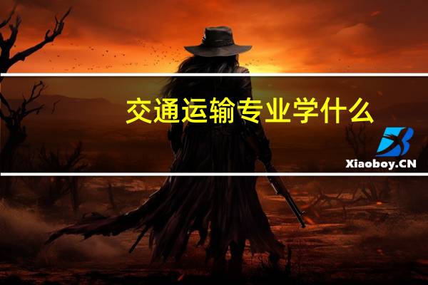 交通运输专业学什么,就业方向是什么