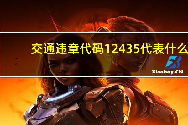 交通违章代码12435代表什么