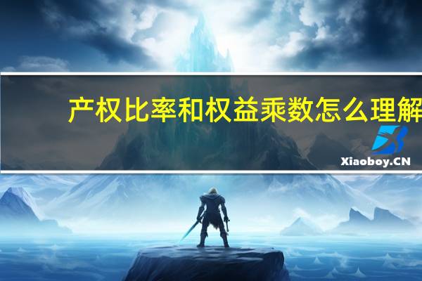 产权比率和权益乘数怎么理解（产权比率和权益乘数）