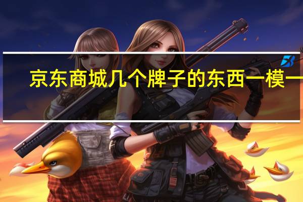 京东商城几个牌子的东西一模一样（京东商城几天到货）