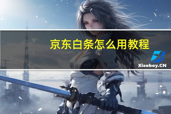 京东白条怎么用教程（京东白条怎么用）