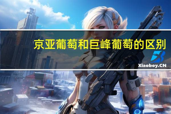京亚葡萄和巨峰葡萄的区别