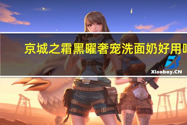 京城之霜黑曜奢宠洗面奶好用吗