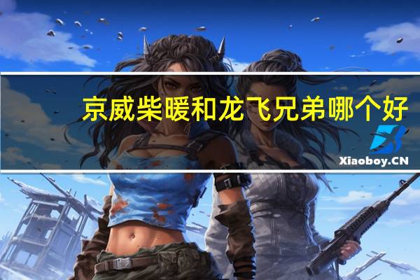 京威柴暖和龙飞兄弟哪个好