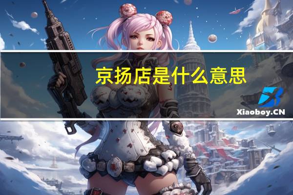 京扬店是什么意思