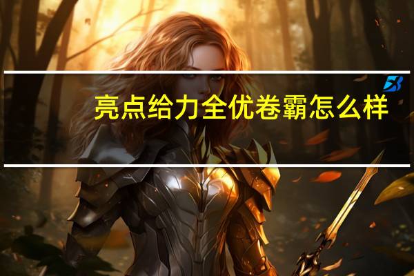 亮点给力全优卷霸怎么样