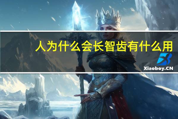 人为什么会长智齿有什么用(人为什么会长智齿)