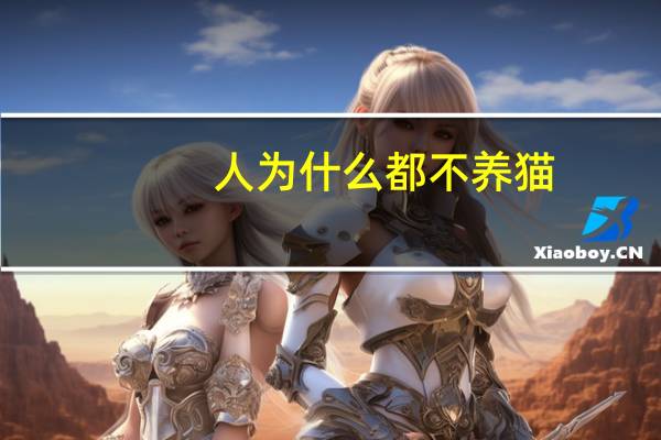 人为什么都不养猫