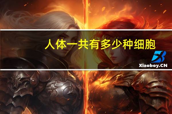 人体一共有多少种细胞