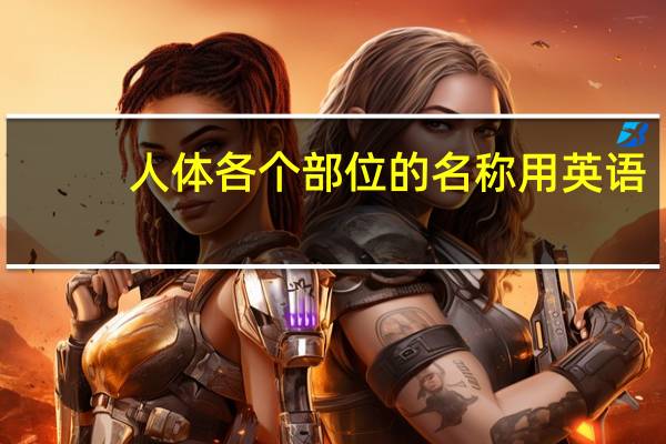 人体各个部位的名称 用英语