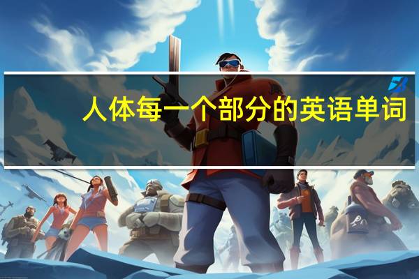 人体每一个部分的英语单词