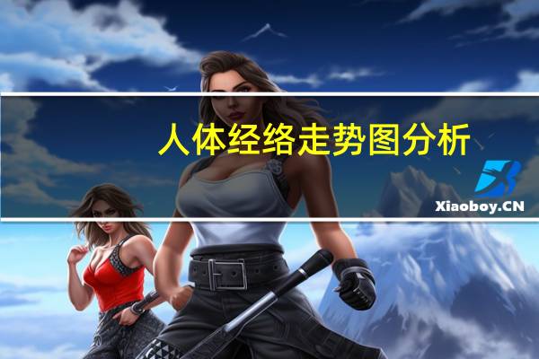 人体经络走势图分析（人体经络走势图）
