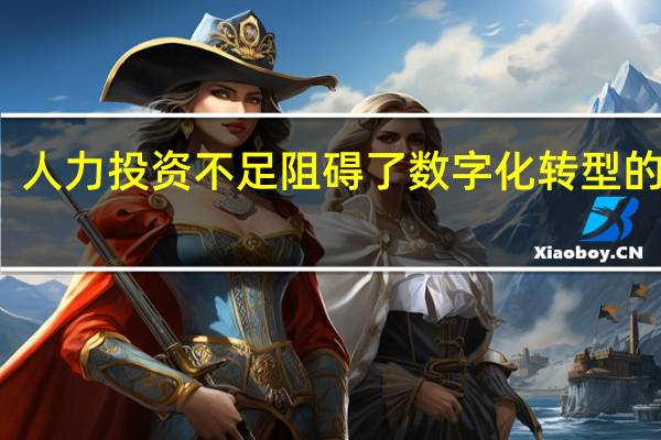 人力投资不足阻碍了数字化转型的努力