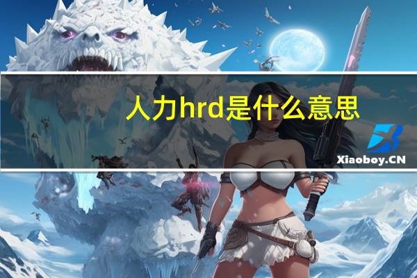 人力hrd是什么意思（hrd是什么意思）