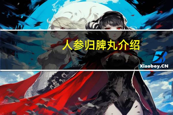 人参归脾丸介绍