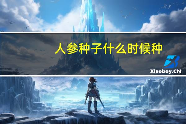 人参种子什么时候种