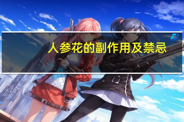 人参花的副作用及禁忌（人参花）