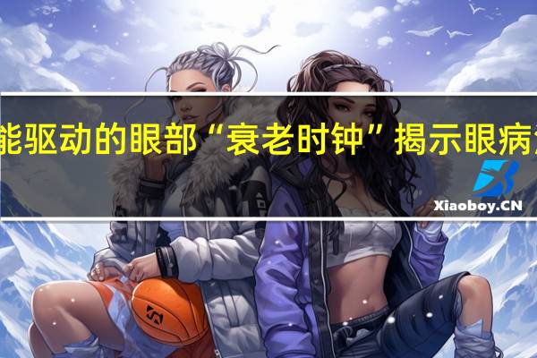 人工智能驱动的眼部“衰老时钟”揭示眼病治疗的新路径