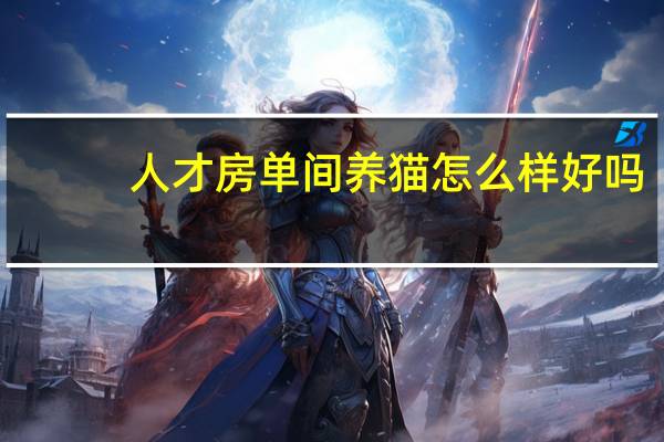 人才房单间养猫怎么样好吗