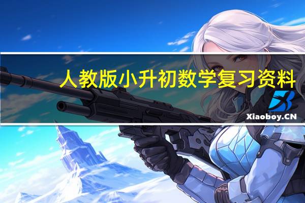 人教版小升初数学复习资料(求个人教小升初语文复习资料)