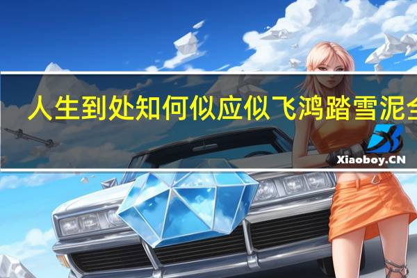 人生到处知何似应似飞鸿踏雪泥全诗(人生到处知何似应似飞鸿踏雪泥什么意思)