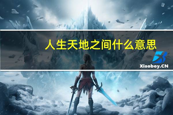 人生天地之间什么意思