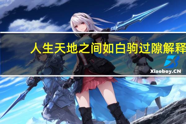 人生天地之间如白驹过隙解释