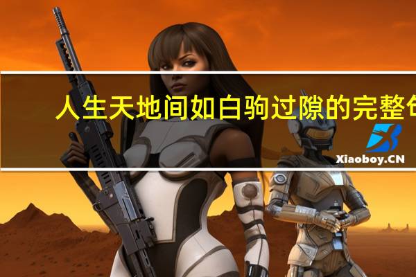 人生天地间如白驹过隙的完整句