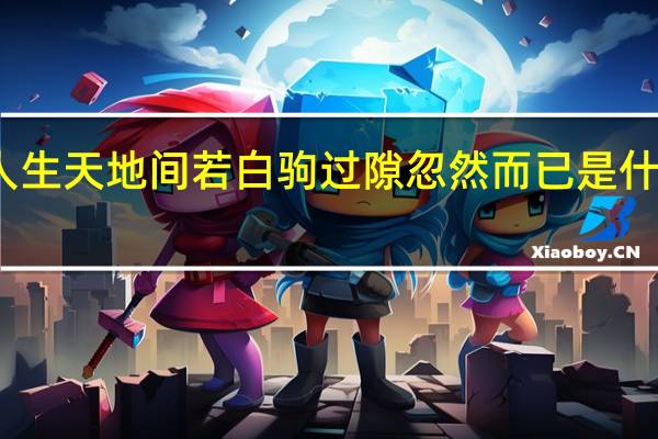 人生天地间若白驹过隙忽然而已是什么意思（人生天地间 若白驹过隙 忽然而已(解释)）