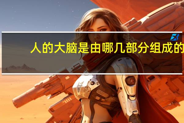 人的大脑是由哪几部分组成的
