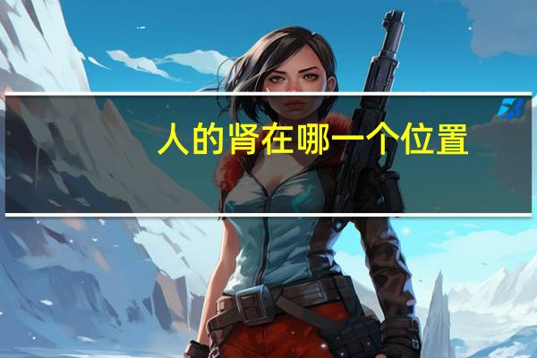 人的肾在哪一个位置(人的肾在哪个部位)