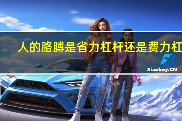 人的胳膊是省力杠杆还是费力杠杆