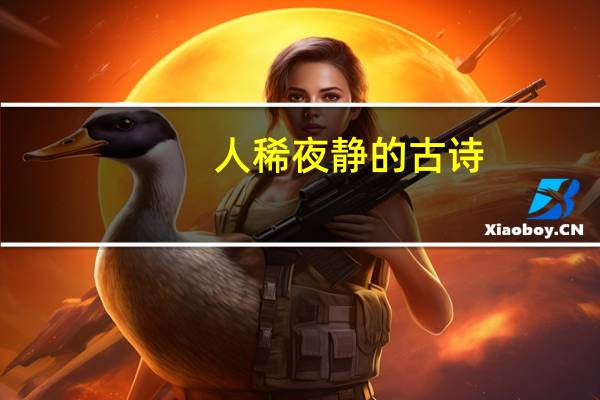 人稀夜静的古诗
