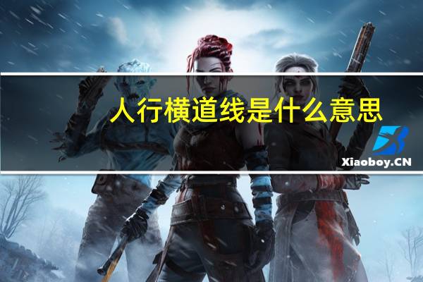 人行横道线是什么意思