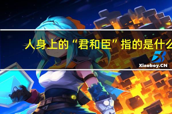 人身上的“君和臣”指的是什么