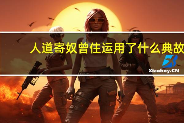 人道寄奴曾住运用了什么典故
