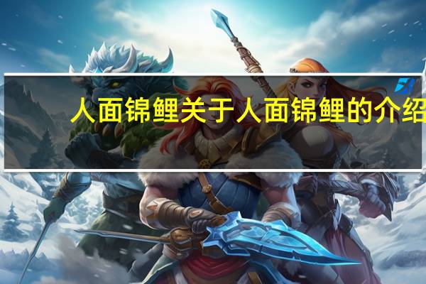 人面锦鲤 关于人面锦鲤的介绍