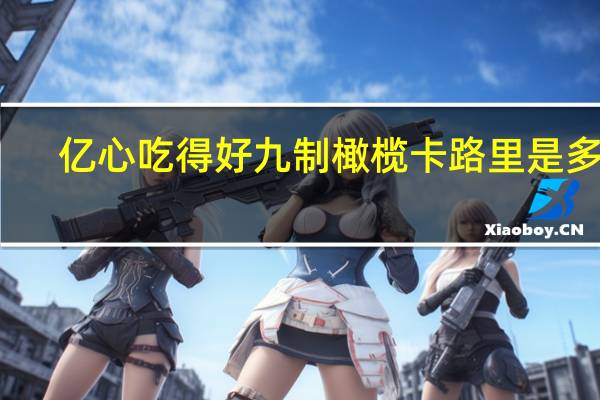 亿心吃得好九制橄榄卡路里是多少
