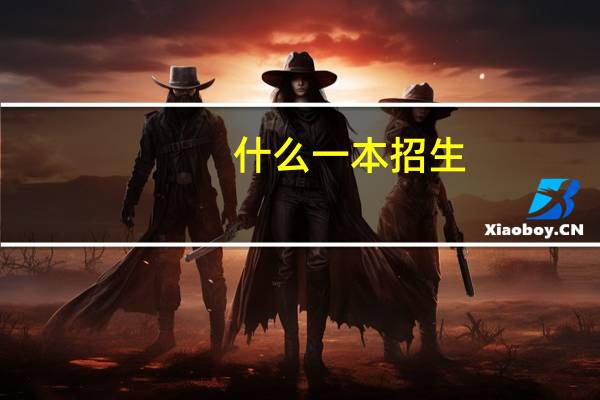 什么一本招生