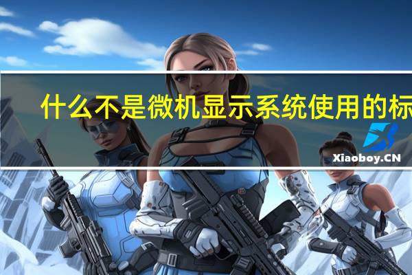什么不是微机显示系统使用的标准（什么是微机显示系统使用的显示标准）