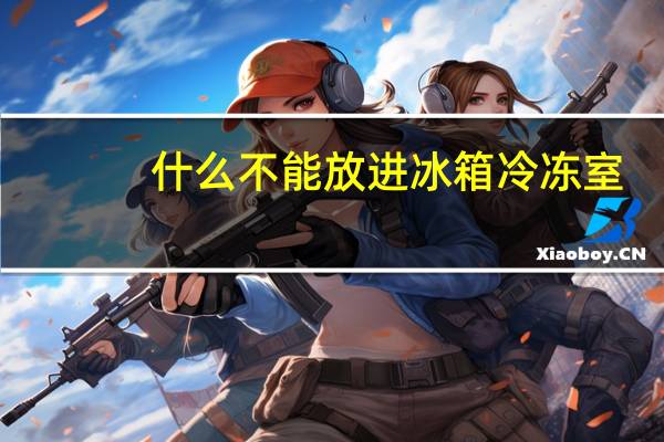 什么不能放进冰箱冷冻室