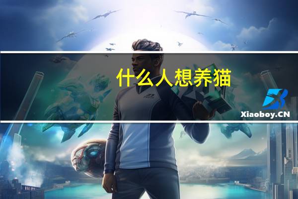 什么人想养猫