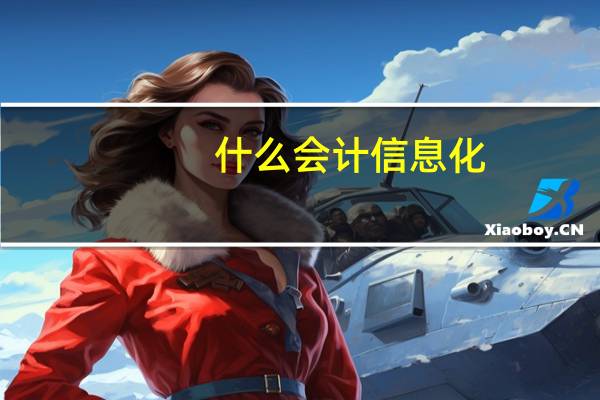 什么会计信息化