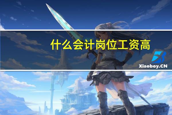什么会计岗位工资高