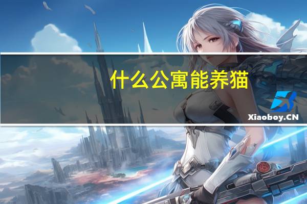 什么公寓能养猫