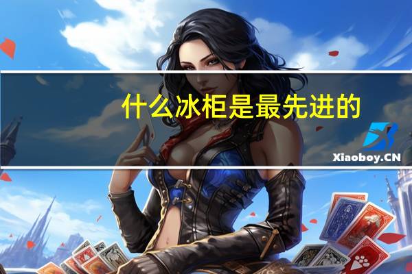 什么冰柜是最先进的(什么冰柜好)