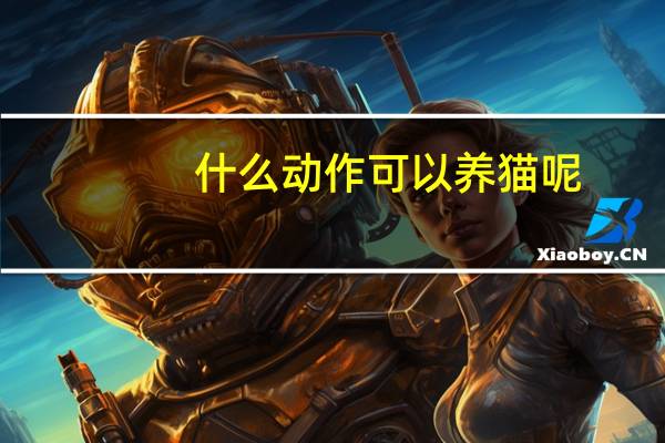 什么动作可以养猫呢